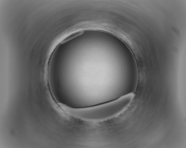 X0000112351528200908131417
