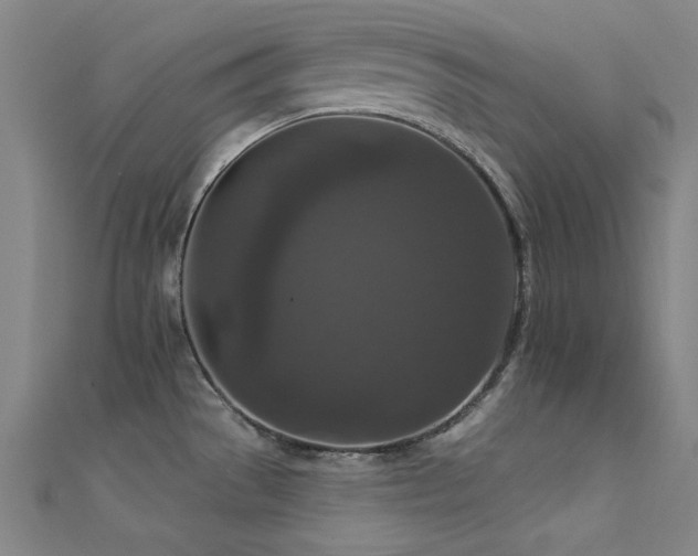 X0000112351529200908131417