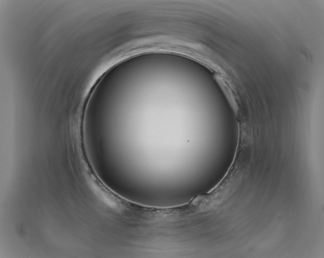 X0000112351530200908131417