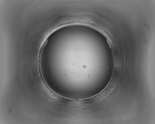 X0000112351532200908131417