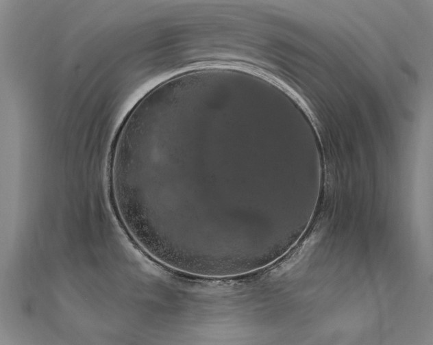 X0000112351533200908131417