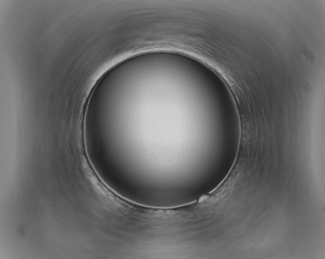 X0000112351534200908131417