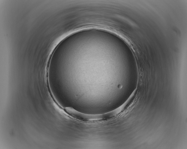 X0000112351535200908131417