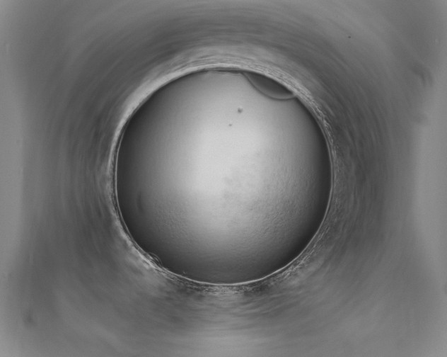 X0000112351536200908131417