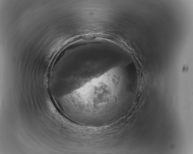 X0000112350002200908201450