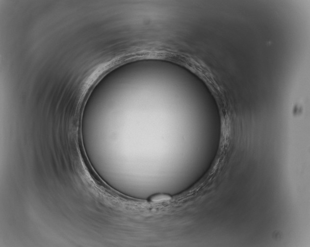 X0000112350003200908201450