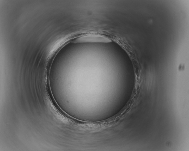 X0000112350005200908201450