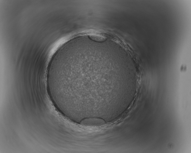 X0000112350006200908201450