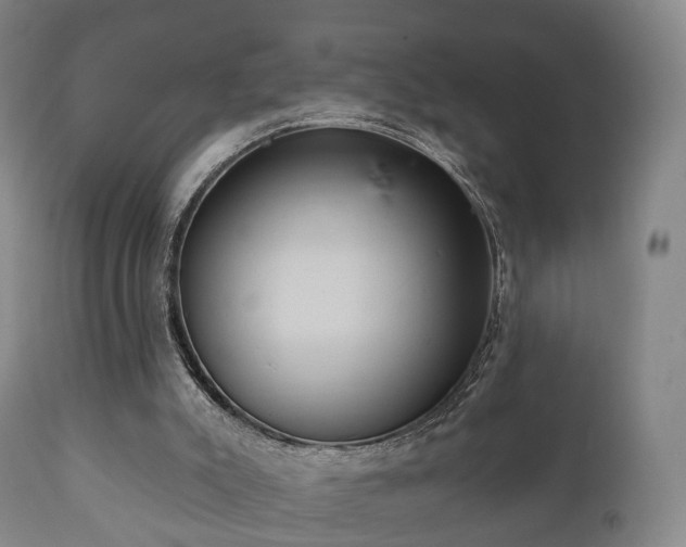 X0000112350007200908201450