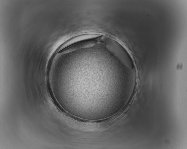X0000112350008200908201450