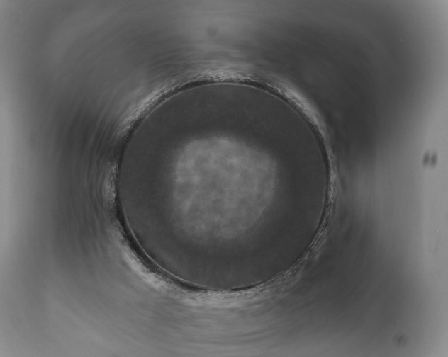 X0000112350009200908201450