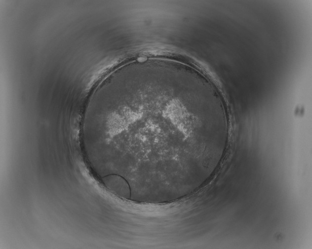 X0000112350010200908201450