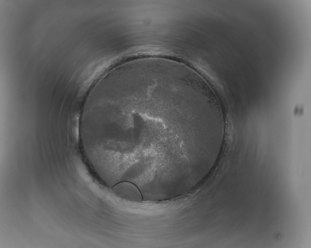 X0000112350014200908201450