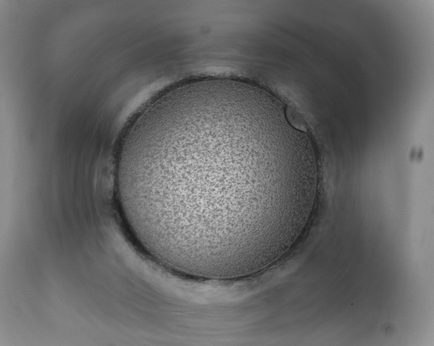 X0000112350016200908201450