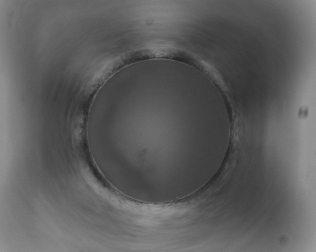 X0000112350018200908201450