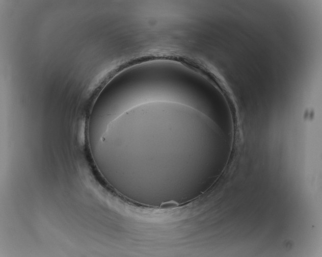 X0000112350019200908201450