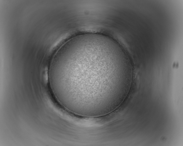X0000112350020200908201450