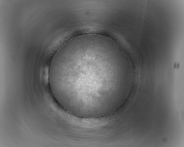 X0000112350022200908201450