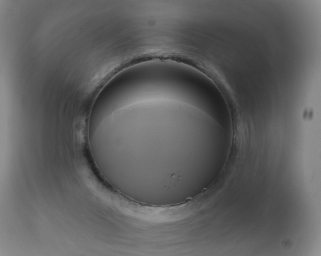 X0000112350023200908201450