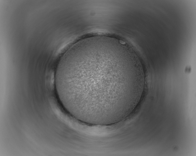 X0000112350024200908201450