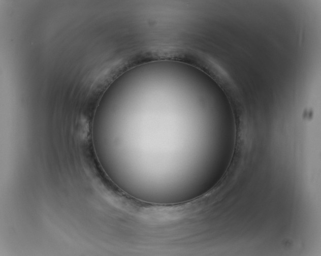 X0000112350025200908201450