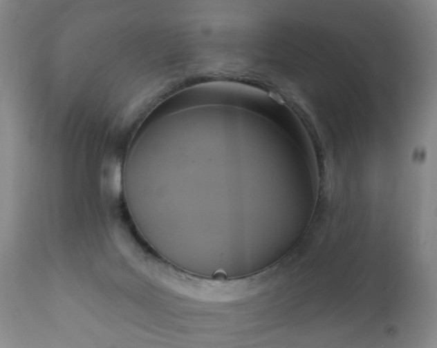 X0000112350027200908201450