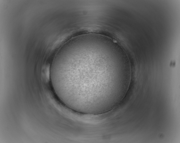 X0000112350028200908201450
