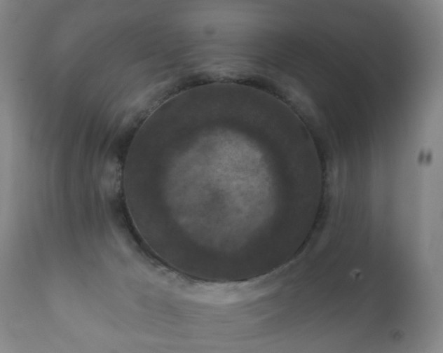 X0000112350029200908201450