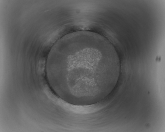 X0000112350030200908201450
