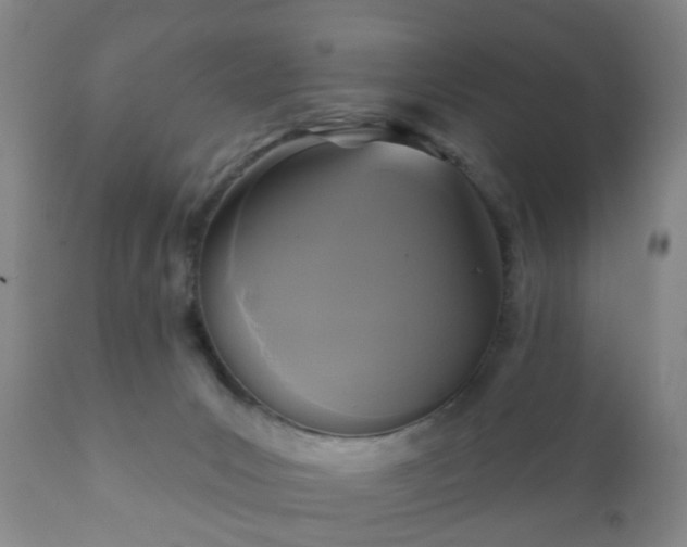 X0000112350031200908201450