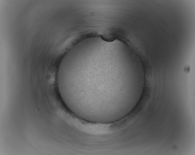 X0000112350032200908201450