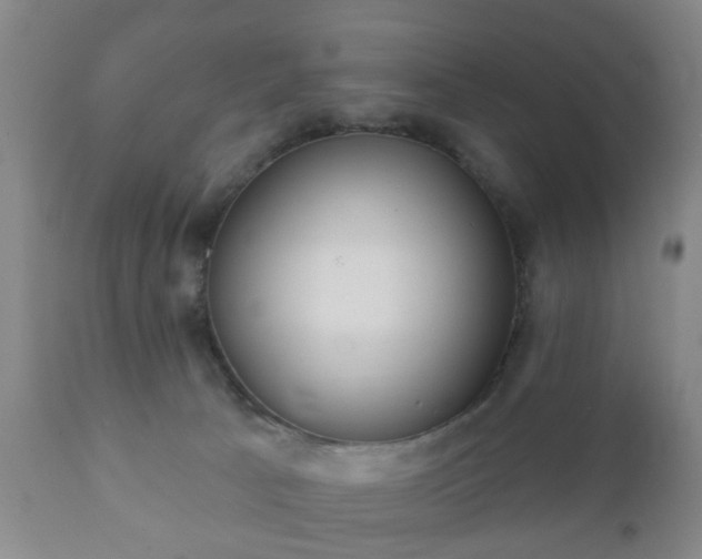 X0000112350033200908201450