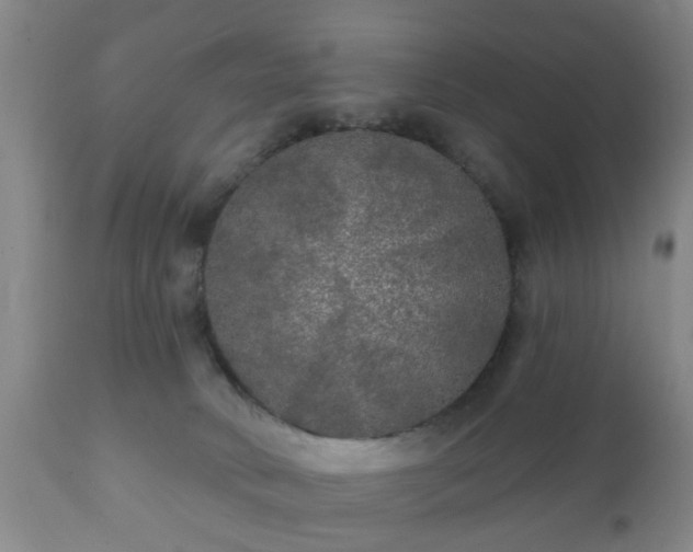 X0000112350034200908201450