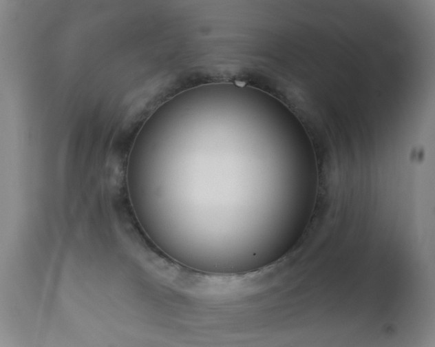 X0000112350037200908201450