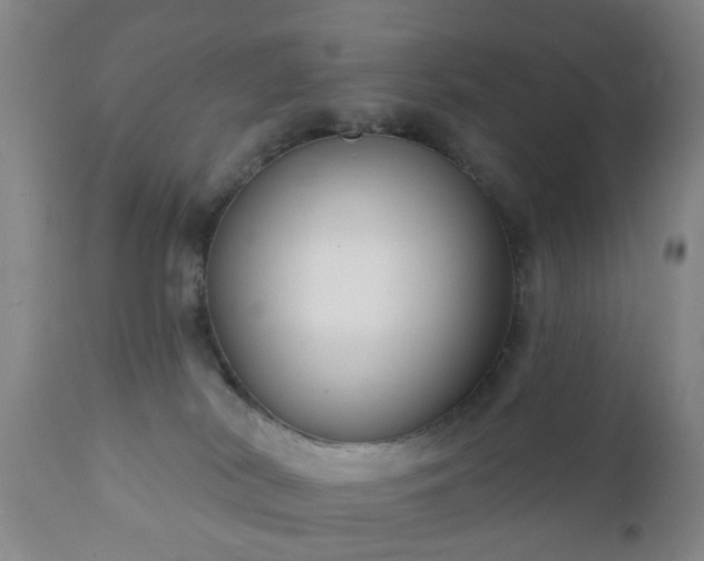 X0000112350038200908201450