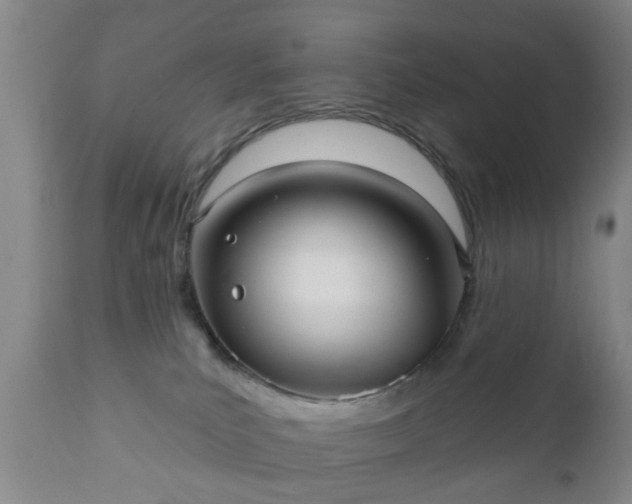 X0000112350039200908201450