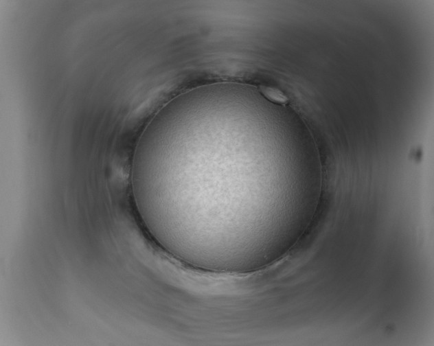 X0000112350040200908201450