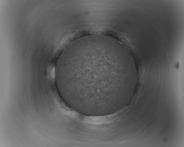 X0000112350041200908201450
