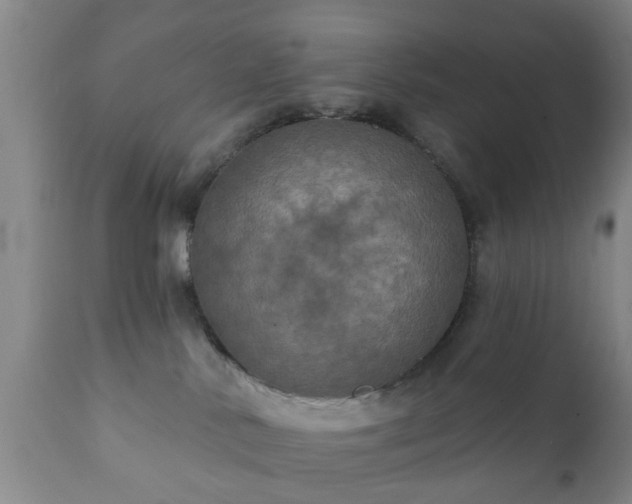 X0000112350042200908201450