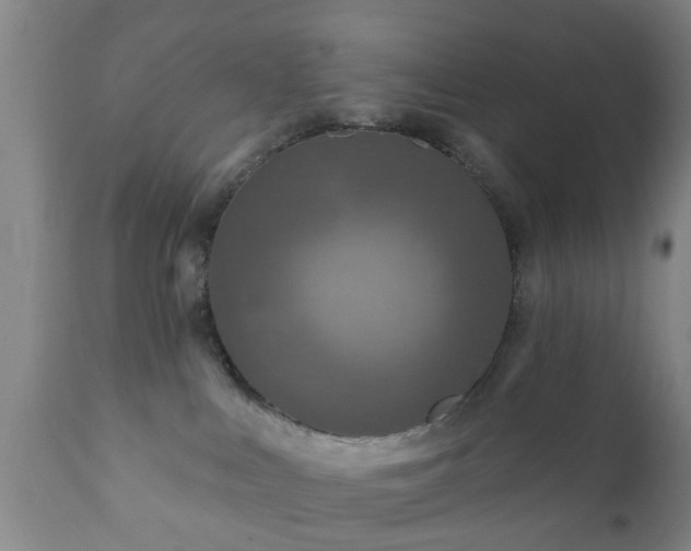 X0000112350043200908201450