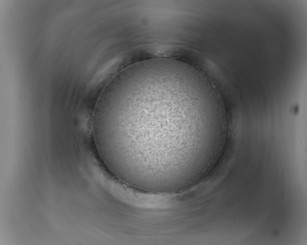 X0000112350044200908201450