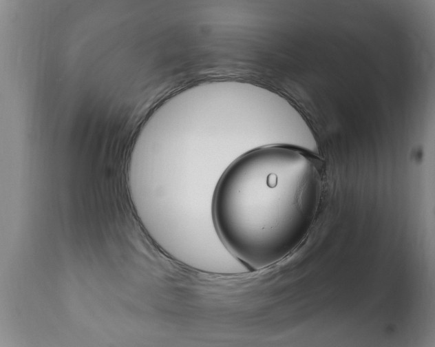 X0000112350045200908201450