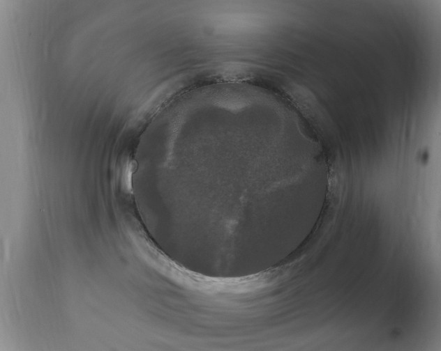 X0000112350046200908201450