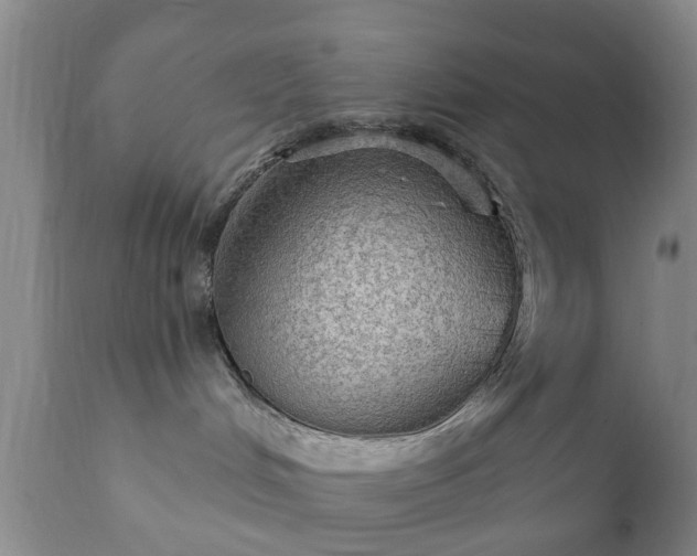 X0000112350048200908201450