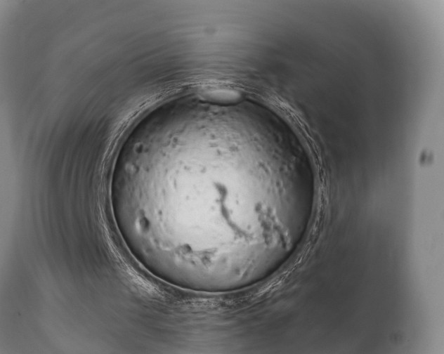 X0000112350049200908201449