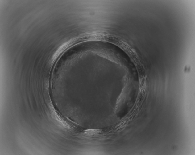 X0000112350051200908201449