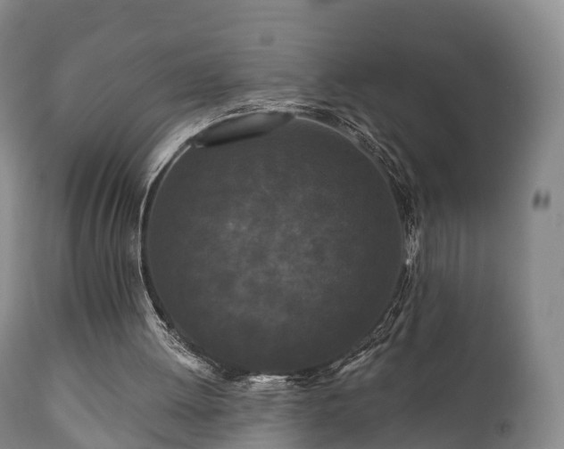 X0000112350052200908201449