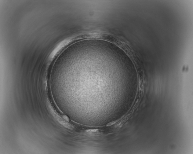 X0000112350054200908201449