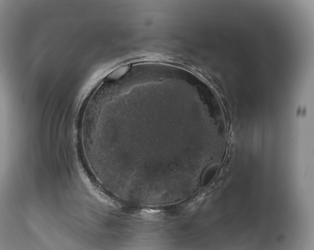 X0000112350055200908201449