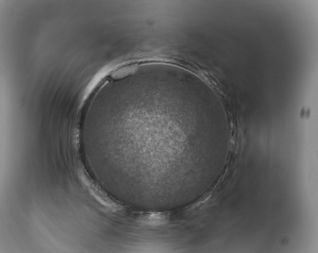 X0000112350056200908201449